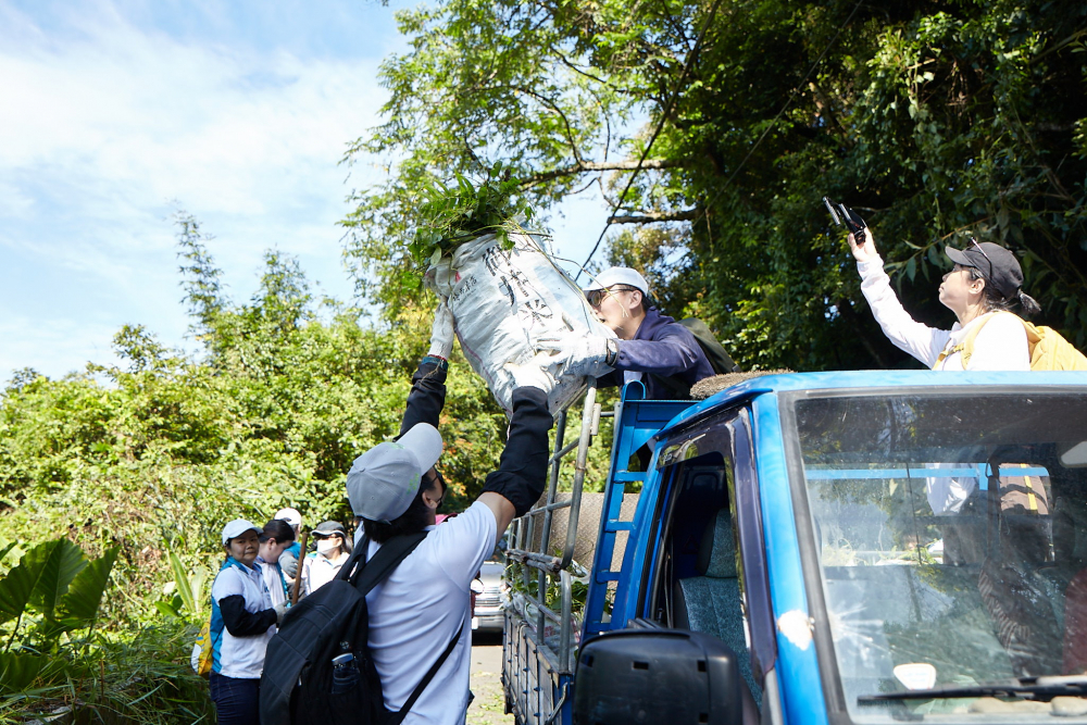 友達串聯志工組成水環境巡守隊，針對霄裡溪沿岸3公里的小花蔓澤蘭，定期進行移除與防治工作